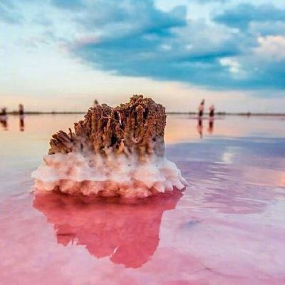 新浪游戏平台下载